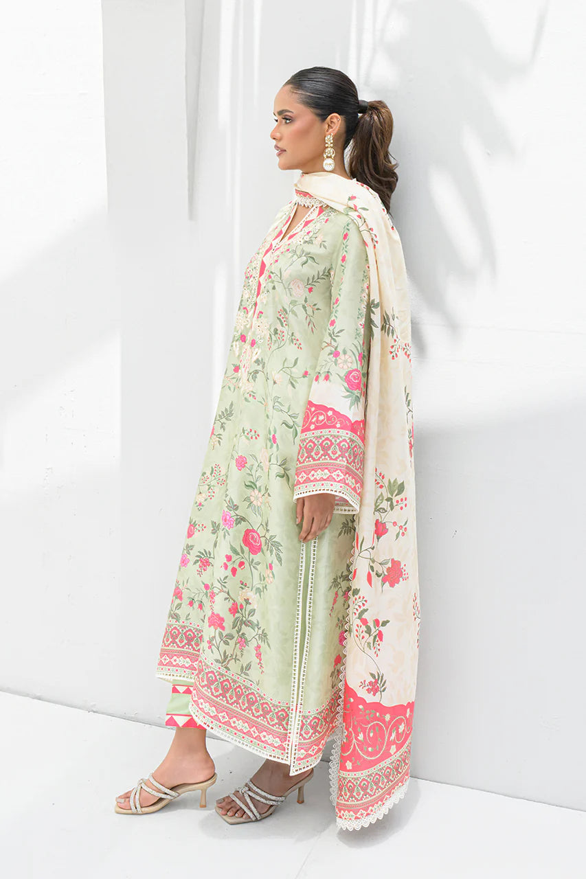 Alia | Nadia Farooqui