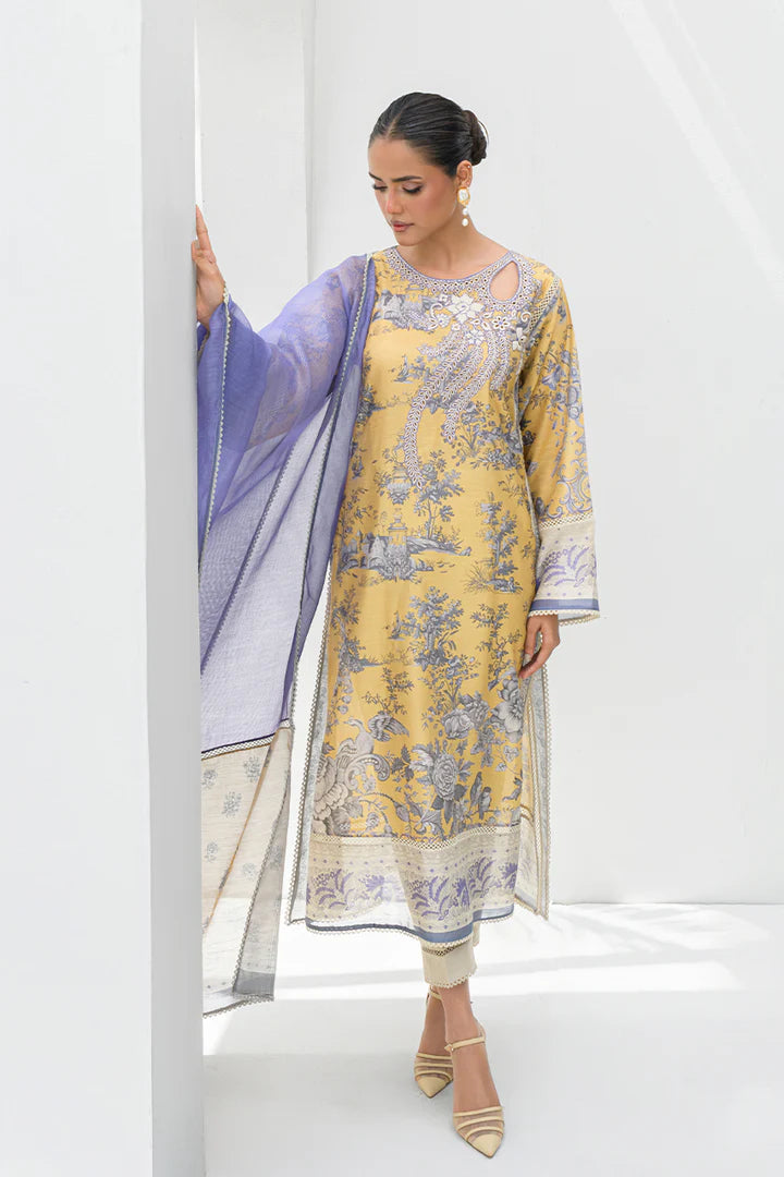 Haya | Nadia Farooqui