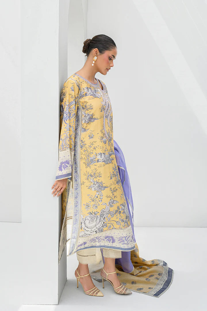 Haya | Nadia Farooqui