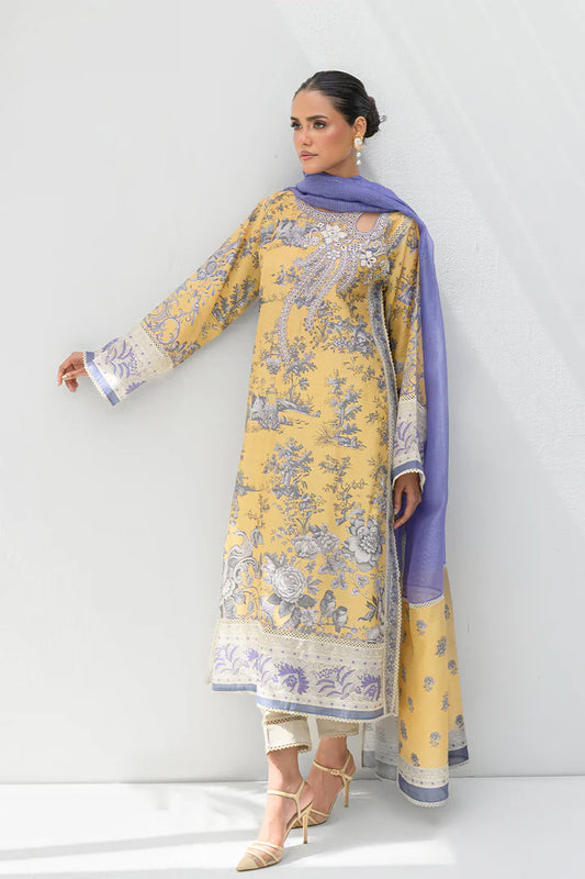 Haya | Nadia Farooqui