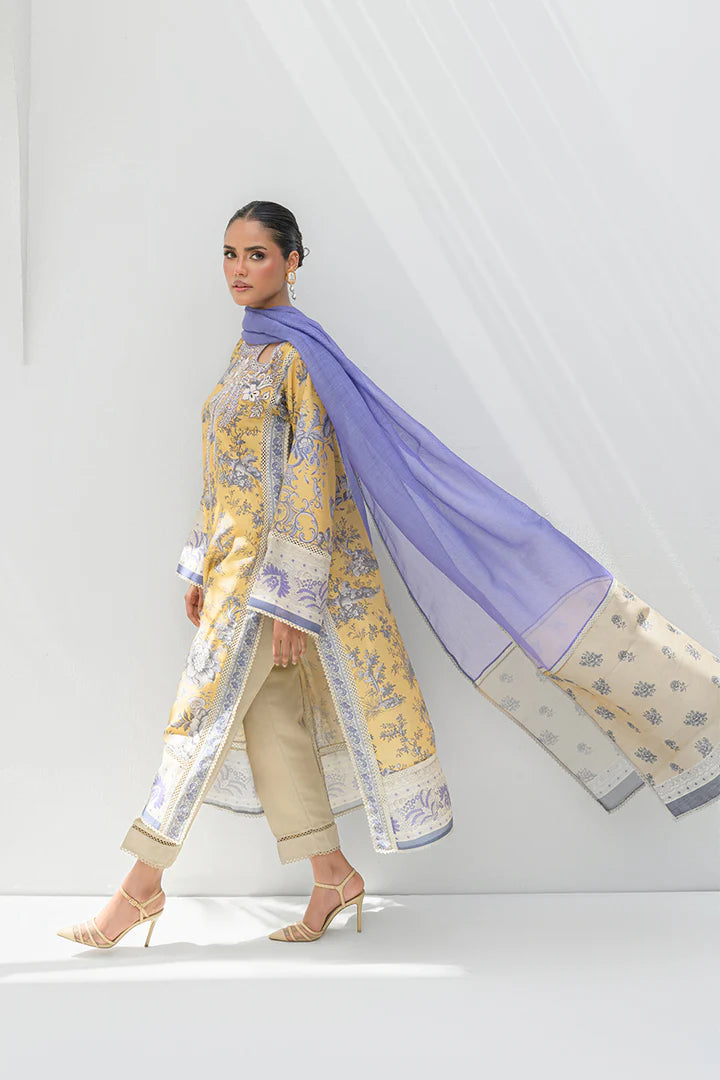 Haya | Nadia Farooqui