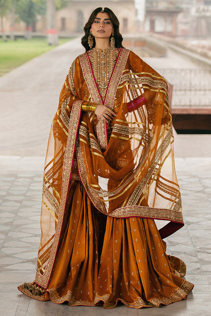 Ranjish | Mohsin Naveed Ranjha (RTS)