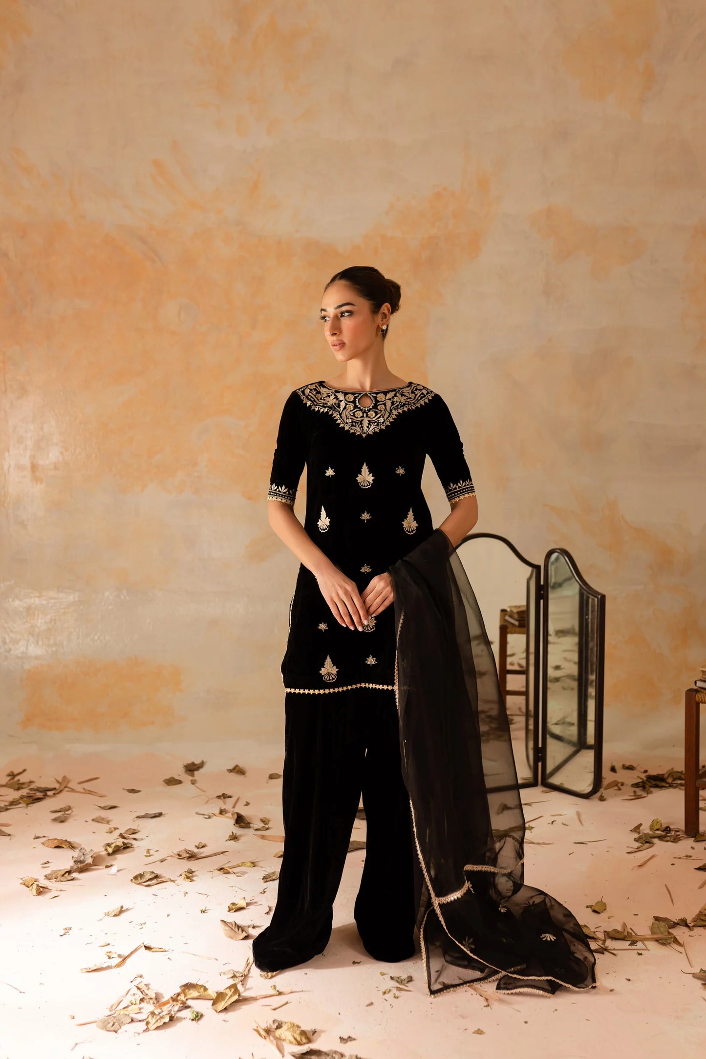 Chandni | Shanzay Anooshay