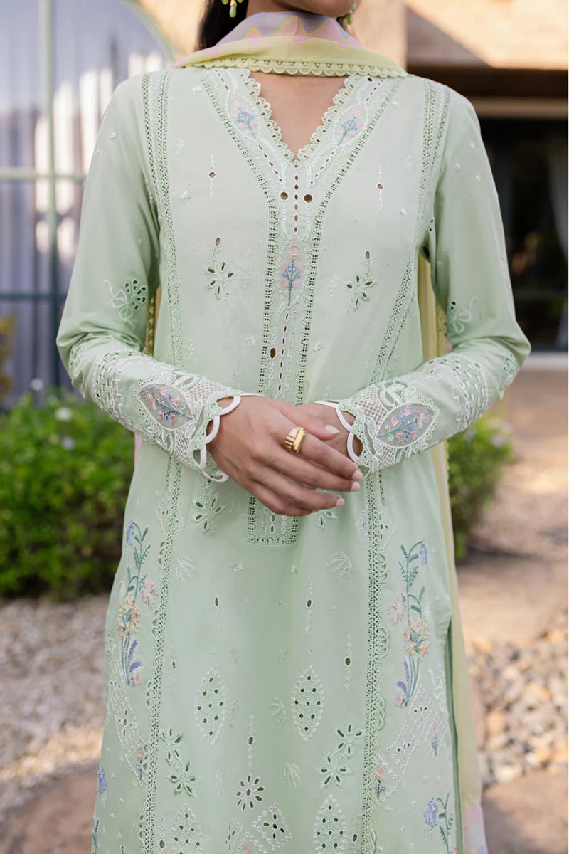 QM-08 MAIA | Qlinekari by Qalamkar Lawn 2025