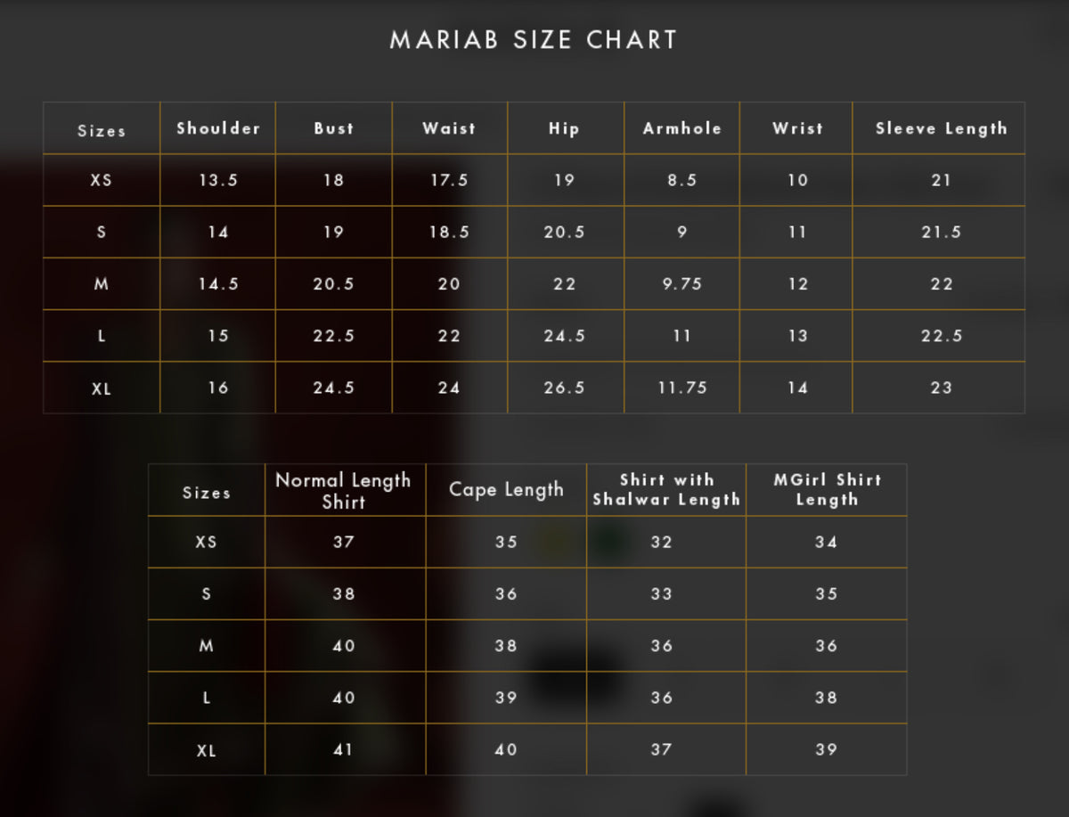 SF-PF26-03 | 3 Piece Embroidered Tissue Silk Suit | MARIA.B