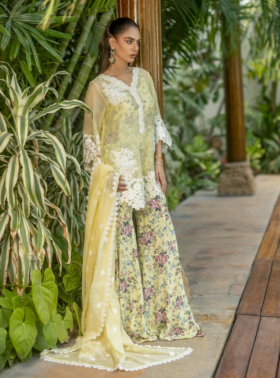 Reya | Eid Edit '26 |  Zainab Chottani