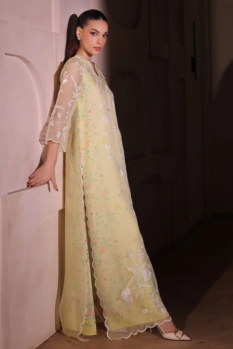 Daffodil | Celebration Wear Light Formals '26  | Uzma Afsheen
