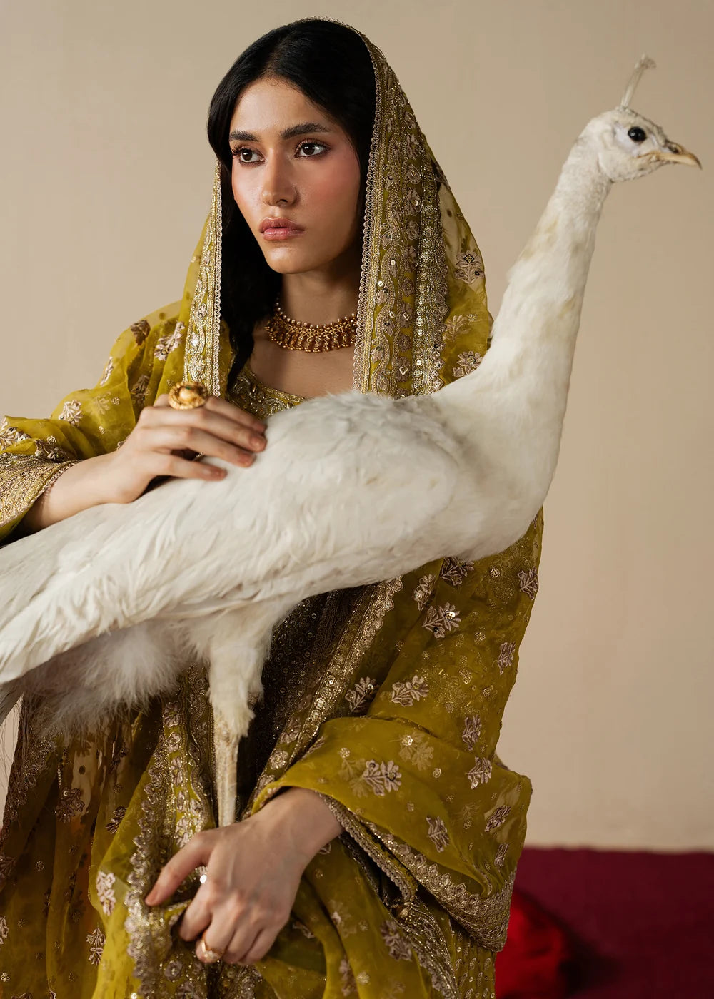 Zarqam | Gulal | Haseens