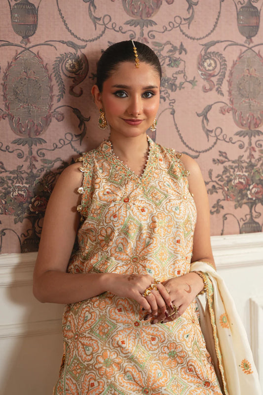 NAVIYA | Festive Formals | Aghanoor Bridal