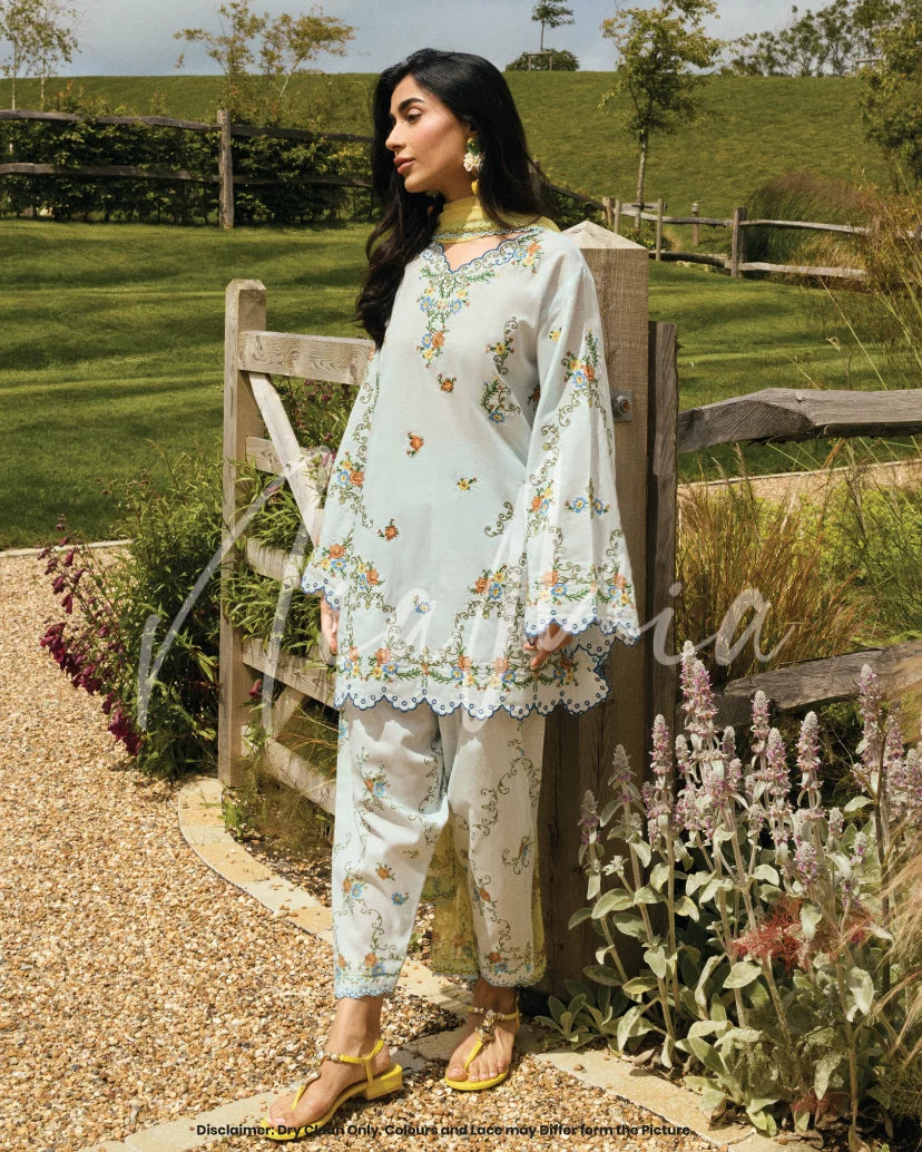 Willow Dupatta | New Arrivals |  Nia Mia