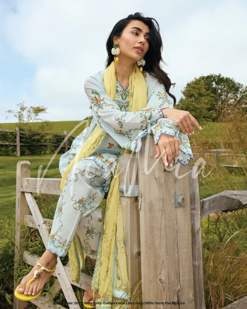 Willow Dupatta | New Arrivals |  Nia Mia