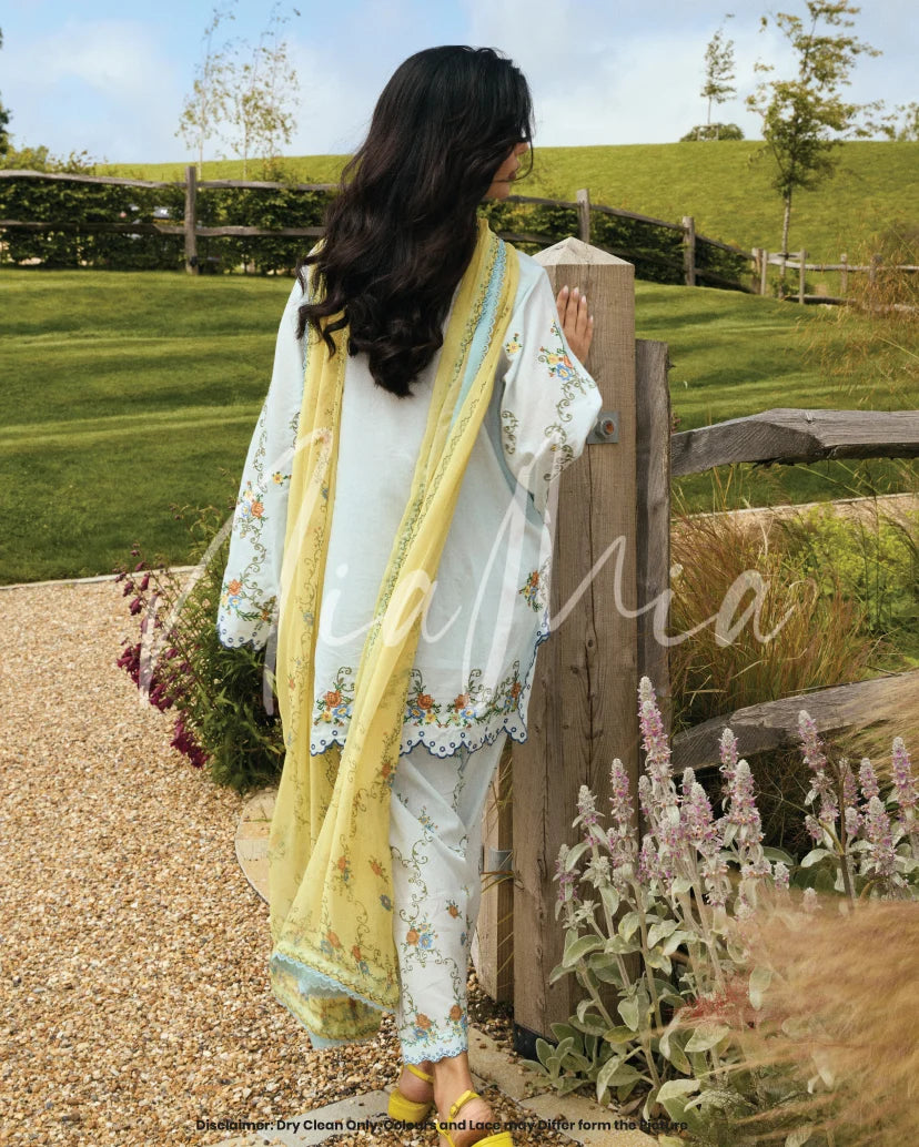 Willow Dupatta | New Arrivals |  Nia Mia