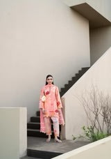 POPPY | Solids Official
