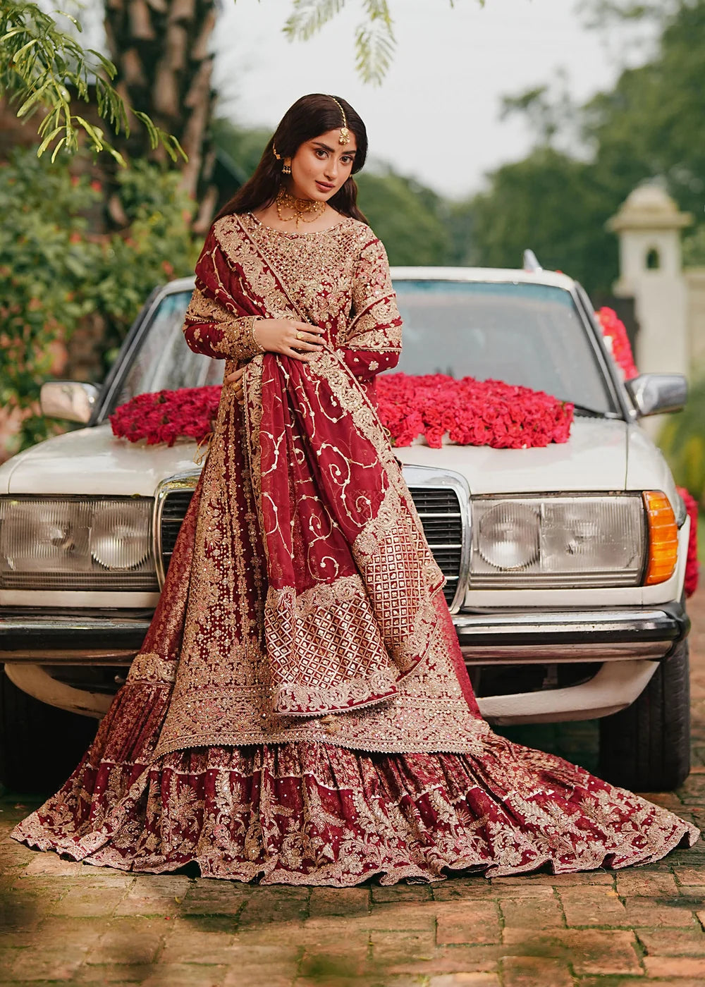 Surkhi | Dilruba | Haseens