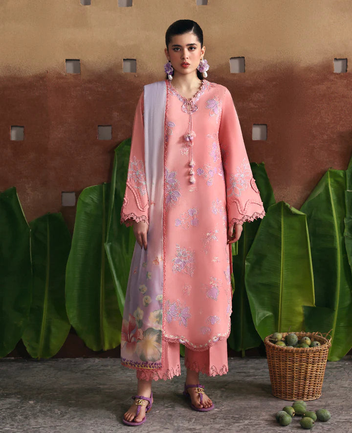 Coral bloom | Basics Vol 2 '26 | Republic Womenswear