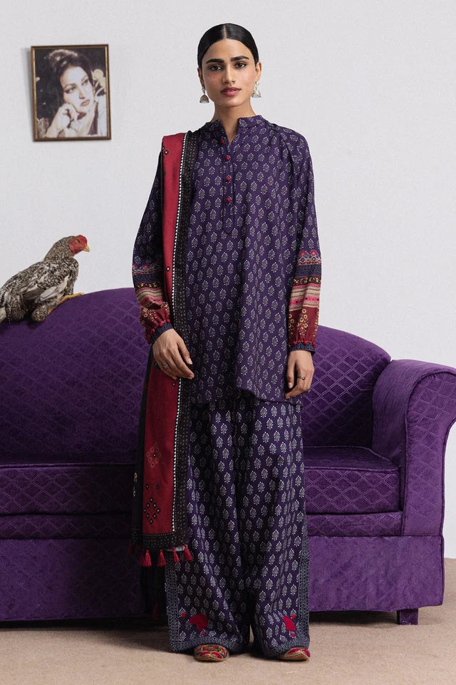 ANIKA-3B | COCO PRINTS WINTER ‘26 | COCO BY ZARA SHAHJAHAN