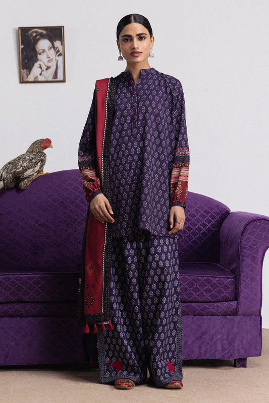 ANIKA-3B | COCO PRINTS WINTER ‘26 | COCO BY ZARA SHAHJAHAN