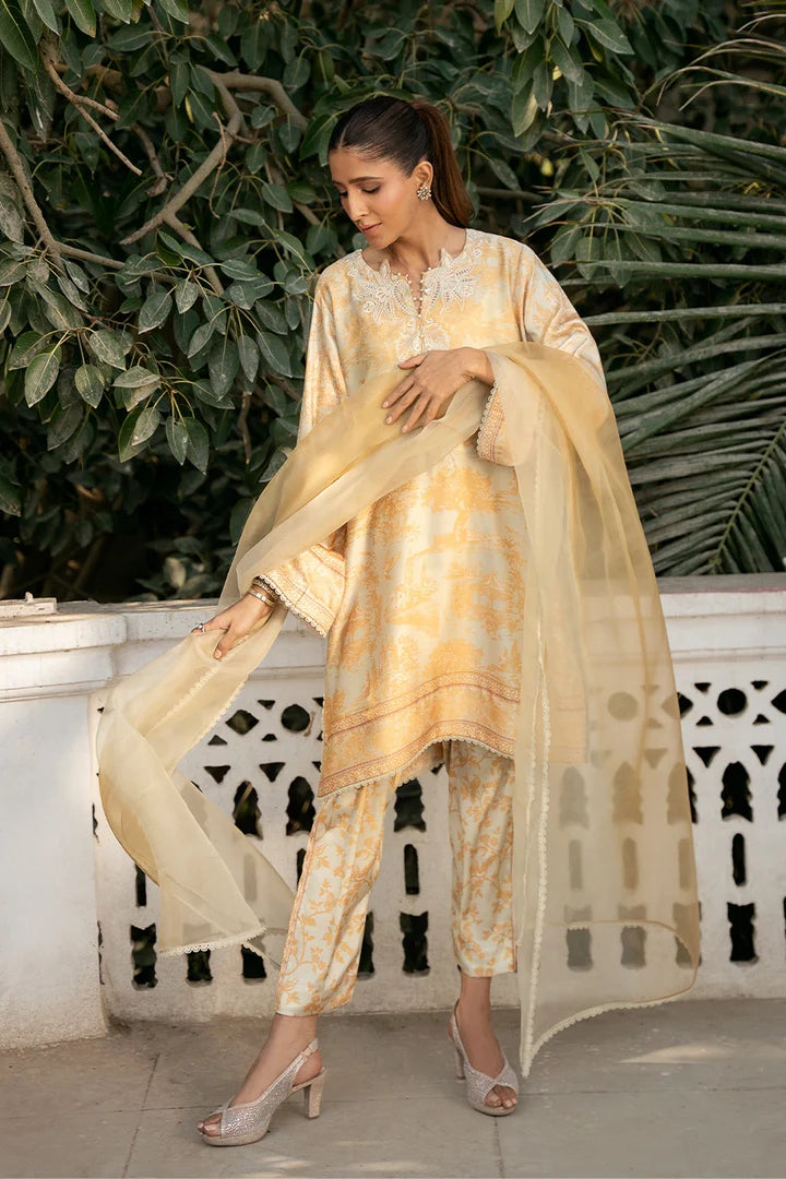 Olive Sun | Luxe Prints '26 | Nadia Farooqui