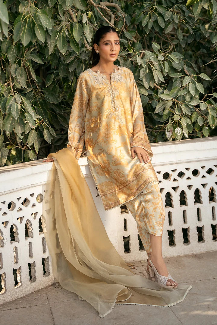 Olive Sun | Luxe Prints '26 | Nadia Farooqui