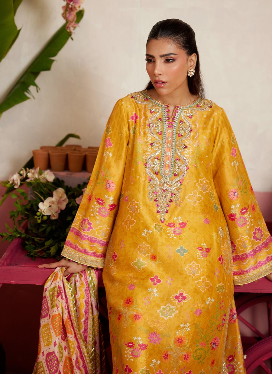 Rebena Shirt And Dupatta | MAYNA FESTIVE PRINTS '26 | FARAH TALIB AZIZ