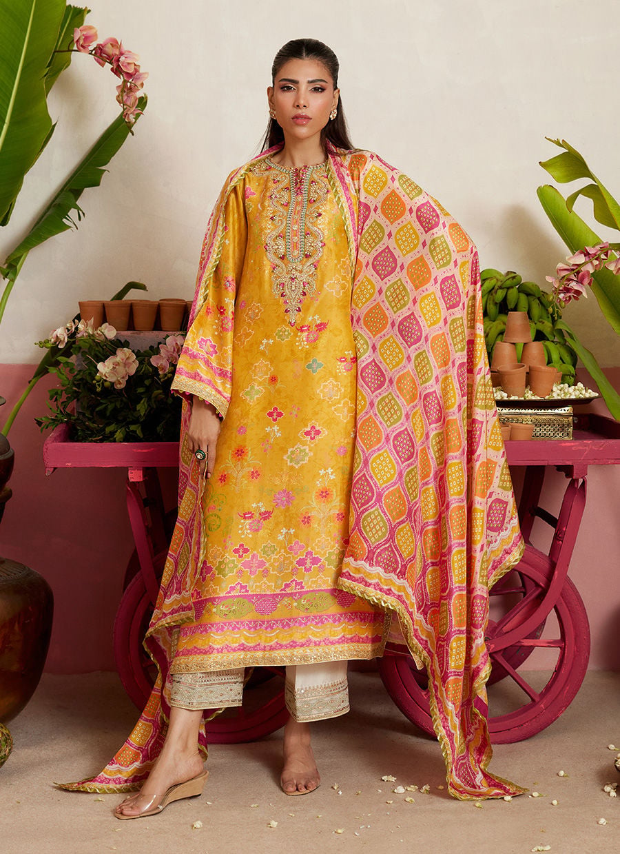 Rebena Shirt And Dupatta | MAYNA FESTIVE PRINTS '26 | FARAH TALIB AZIZ