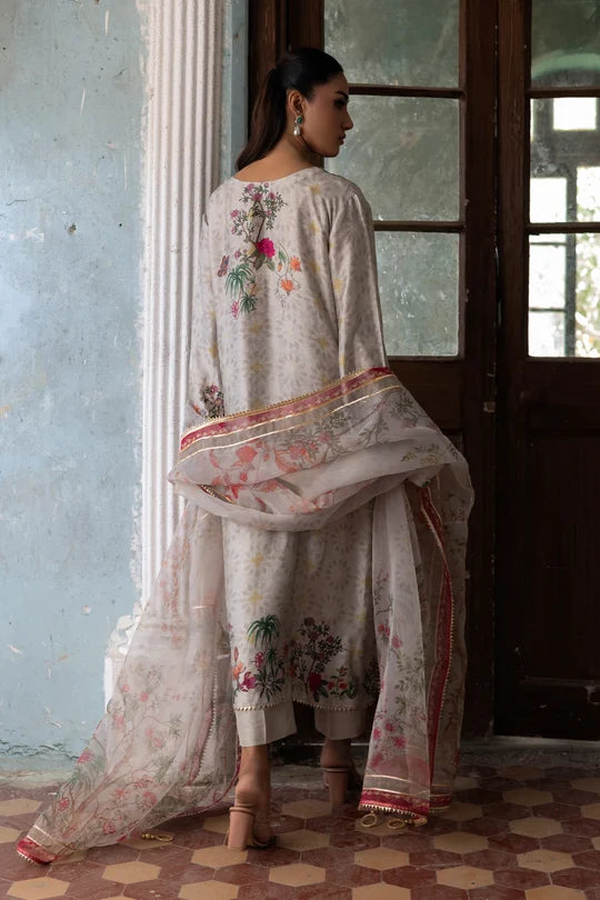 Walia | Fall Festive '26 | Nadia Farooqui