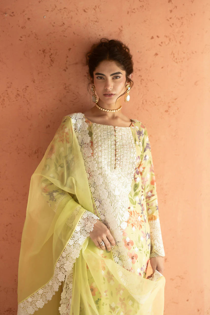Lime Frost | Summer Edition '26 |  Zainab Chottani