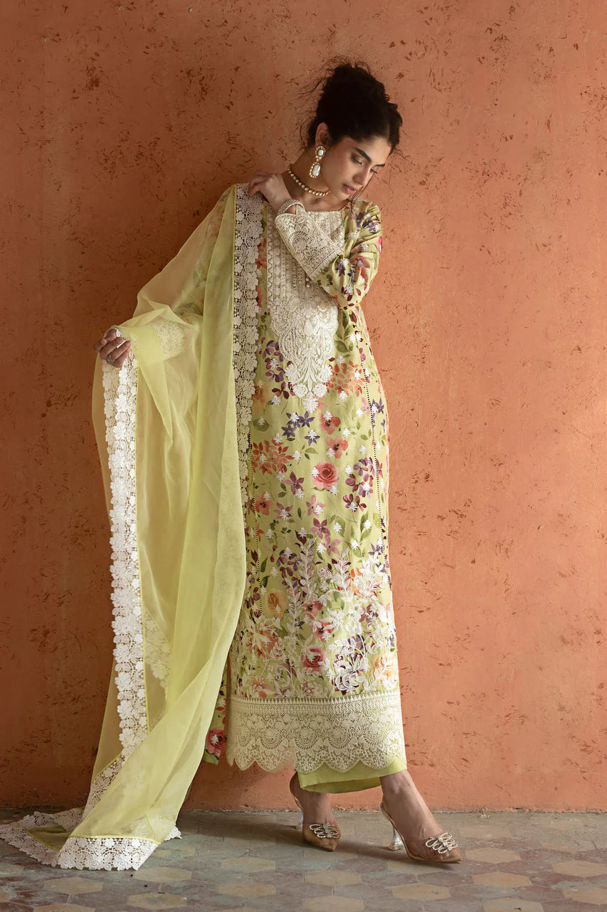 Lime Frost | Summer Edition '26 |  Zainab Chottani