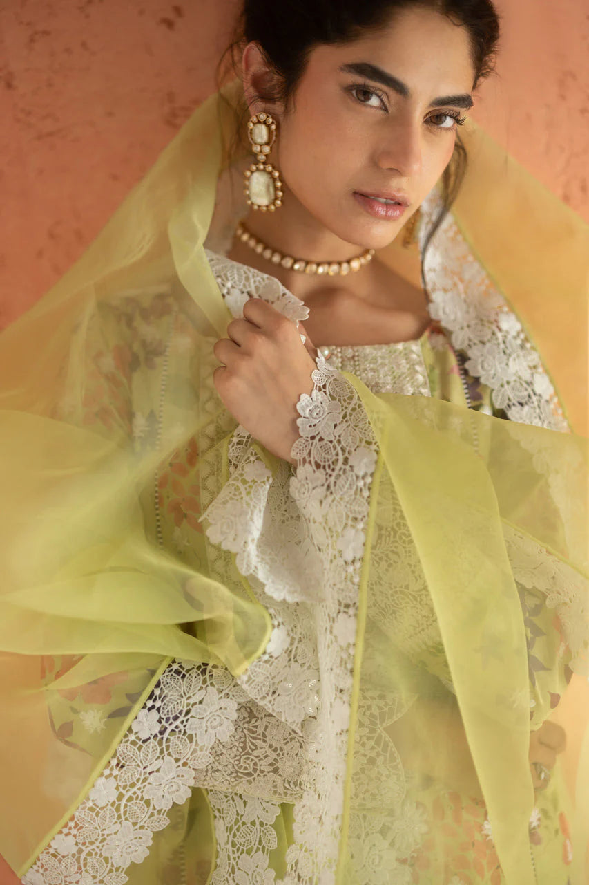 Lime Frost | Summer Edition '26 |  Zainab Chottani