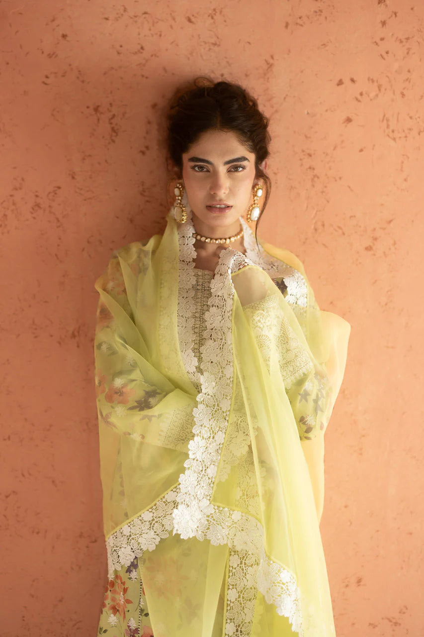 Lime Frost | Summer Edition '26 |  Zainab Chottani