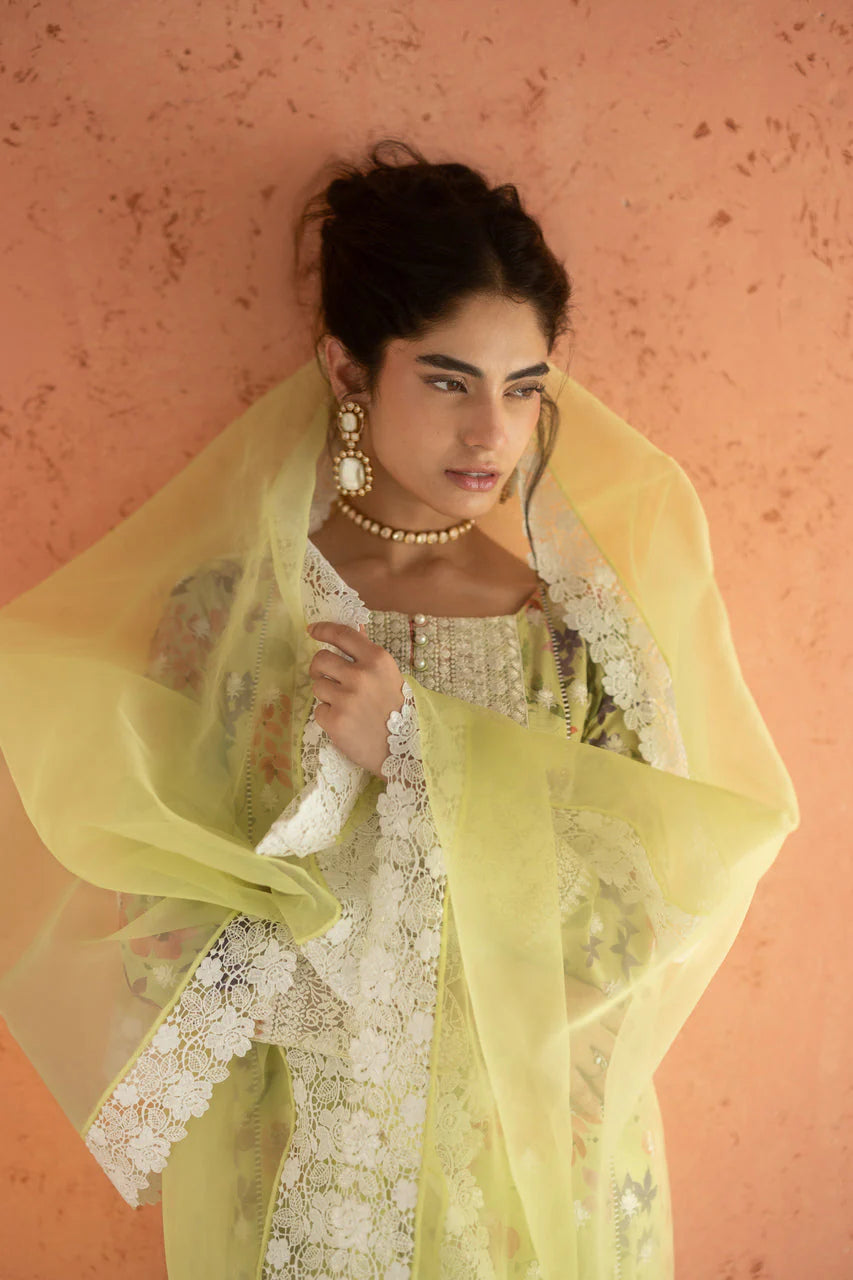 Lime Frost | Summer Edition '26 |  Zainab Chottani