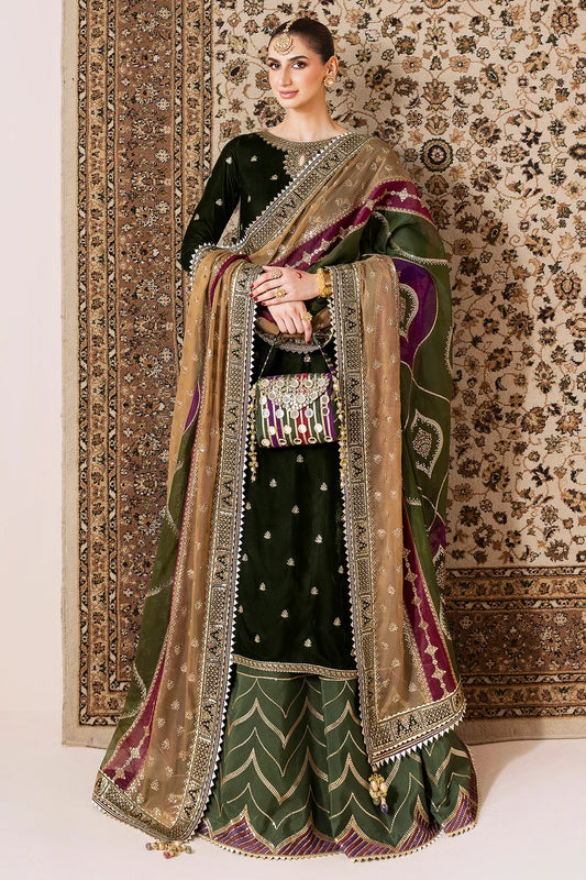 EMBROIDERED VELVET FORMAL CVF25-D09 | Velvet | Jazmin