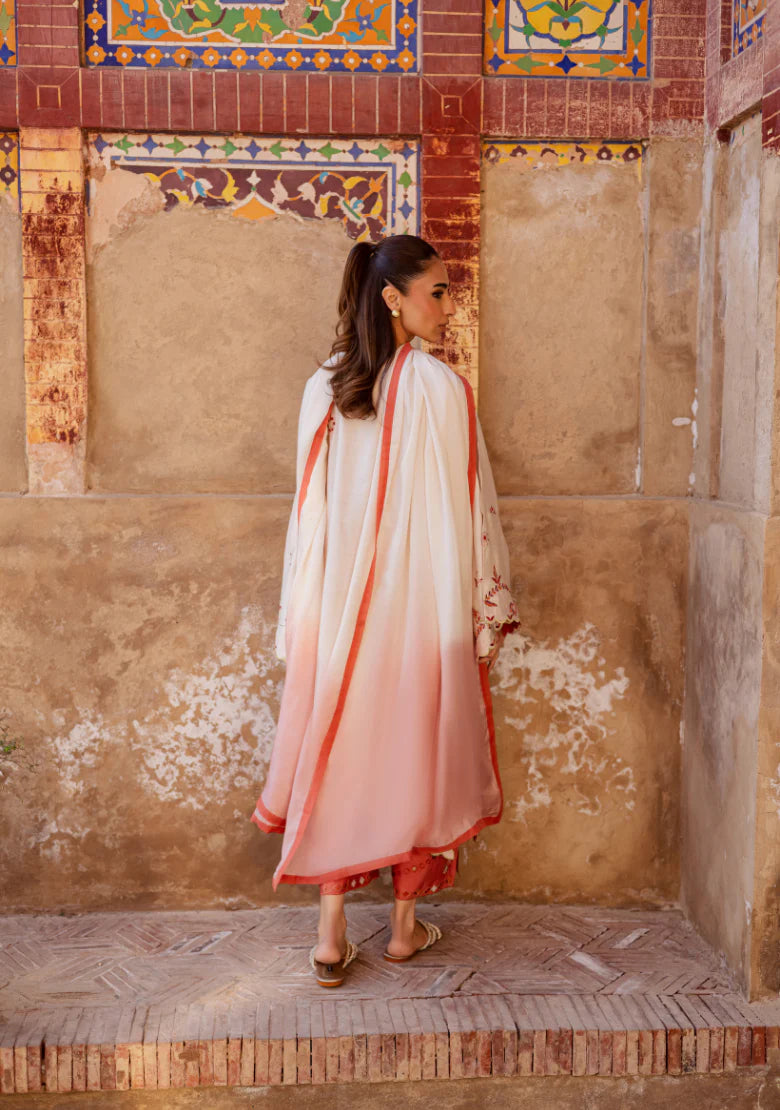 INARA DUPATTA | Solids Official
