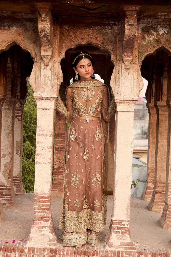 SNLP-25-0148 | Ranya Festive '25 | SOBIA NAZIR