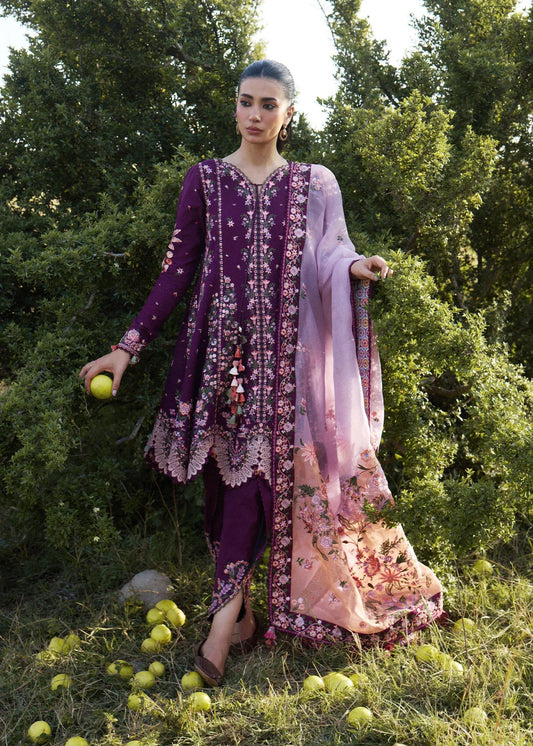 Lyla | Jinan '26 | HUSSAIN REHAR