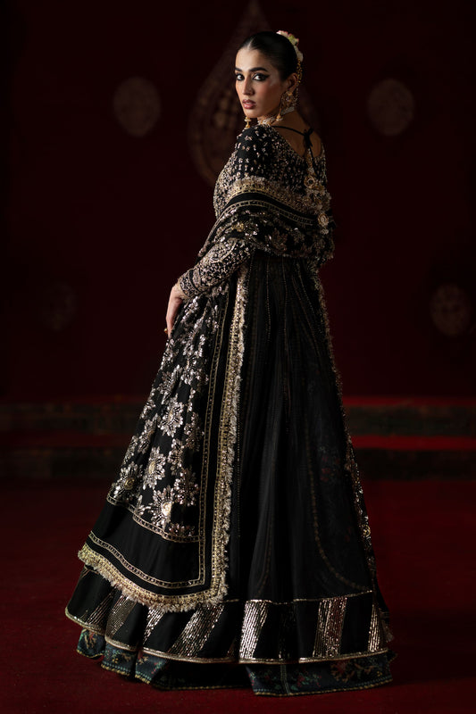 AMAL | LAAVNI'25 | SAAD BIN SHAHZAD