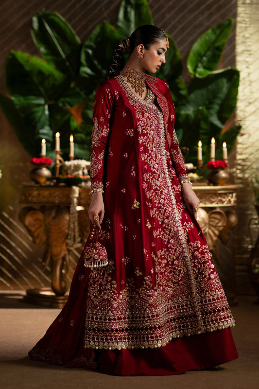ALIRA | LAAVNI'25 | SAAD BIN SHAHZAD