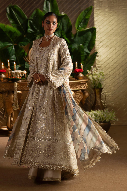 SOPHIA | LAAVNI'25 | SAAD BIN SHAHZAD