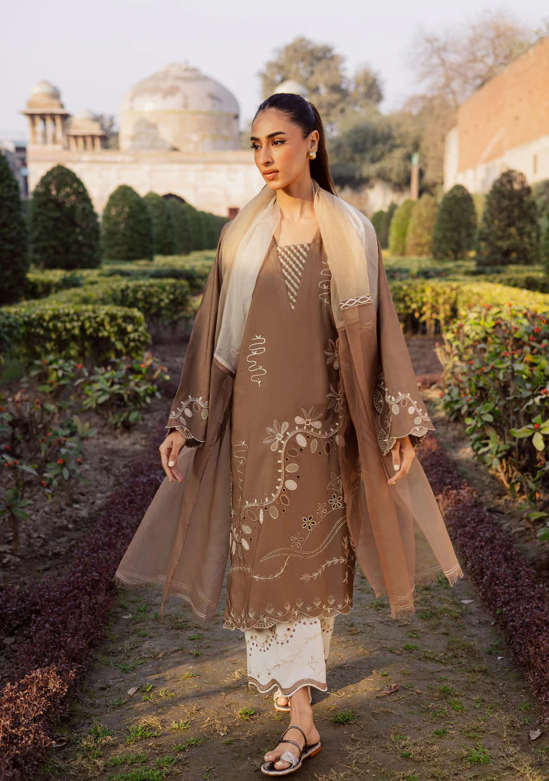 SERENA | Solids Official