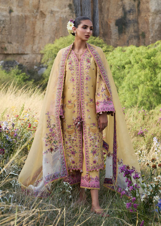 Sonal | Jinan '26 | HUSSAIN REHAR