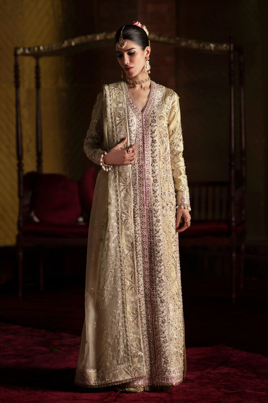 SELIN | LAAVNI'25 | SAAD BIN SHAHZAD
