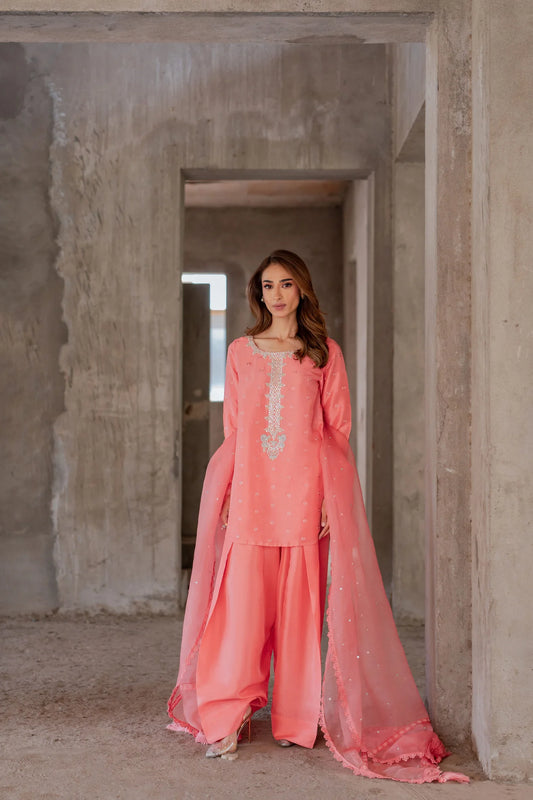 Gulnaar | Saher & Benish