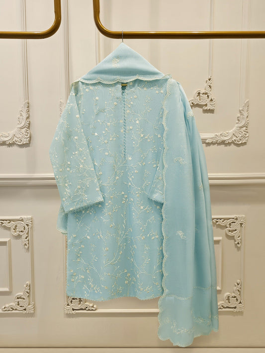 S112862 | Pure Embroidered Cotton Net Suit | Aghanoor Bridal