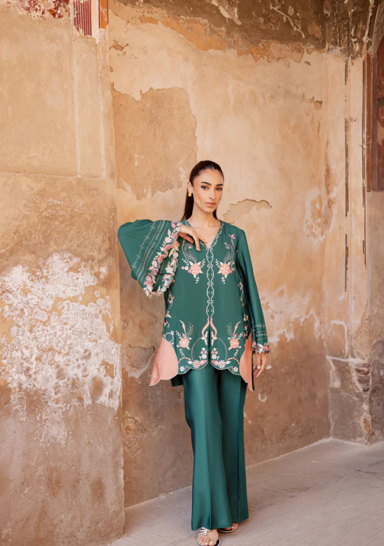ZENIA | Solids Official