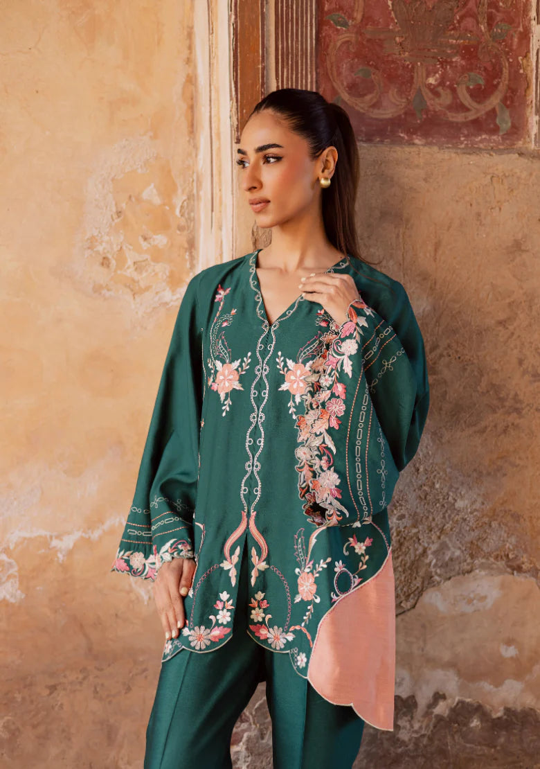 ZENIA | Solids Official