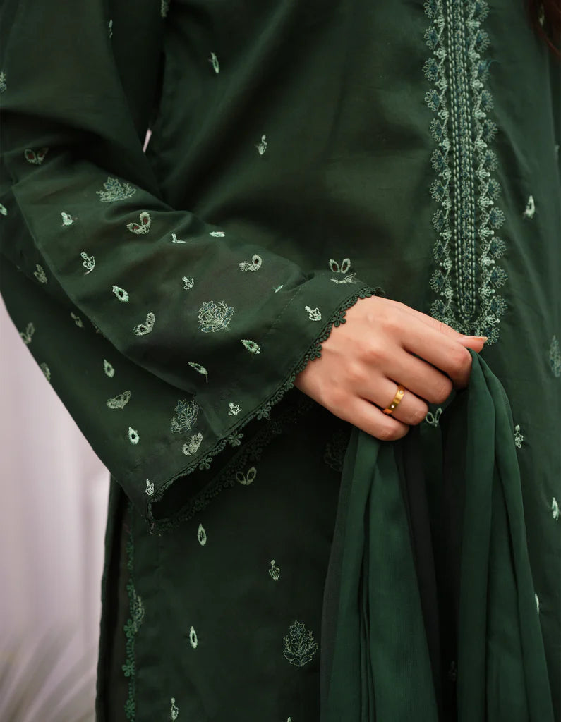 Green Forest | Lawn '25 | Osen