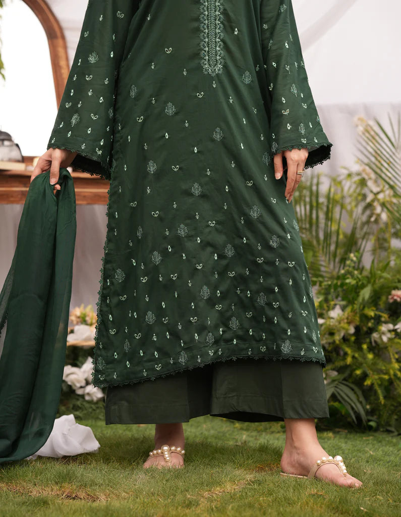 Green Forest | Lawn '25 | Osen