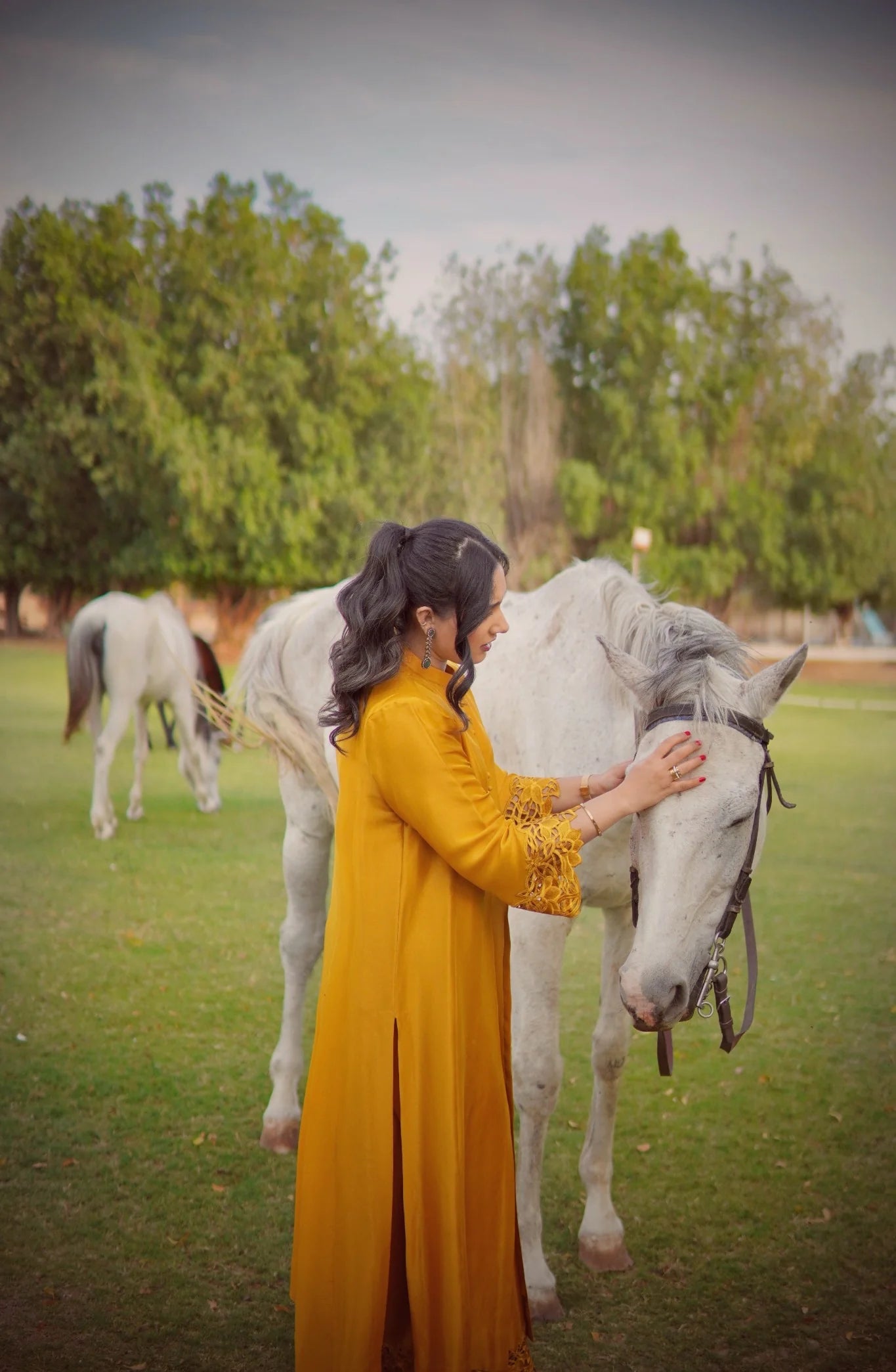 The Mustard Set | Zainab Shamsi Studio