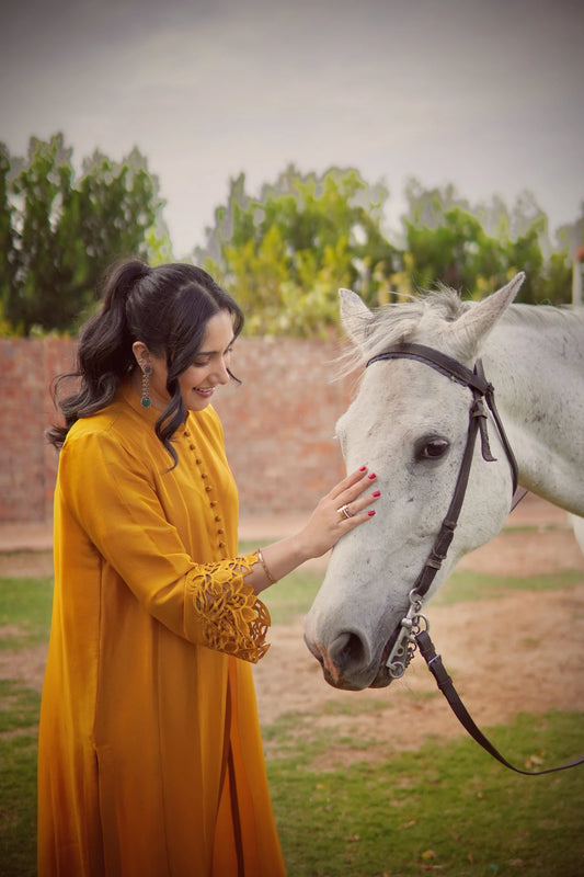 The Mustard Set | Zainab Shamsi Studio