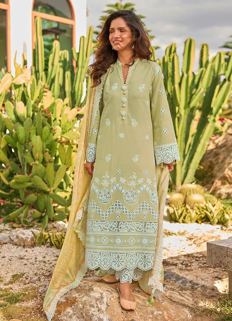 Citrine | Lawnkari ’26 | IMAGE